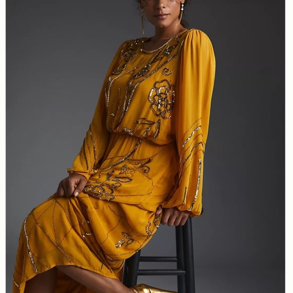 Anthropologie Let Me Be Juliet Sheer Maxi Dress XXS NWT - Picture 5 of 8